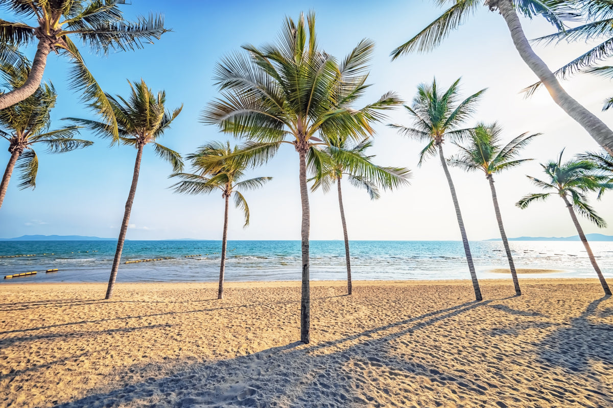 Tropical Beach Scene Wall Mural in your room