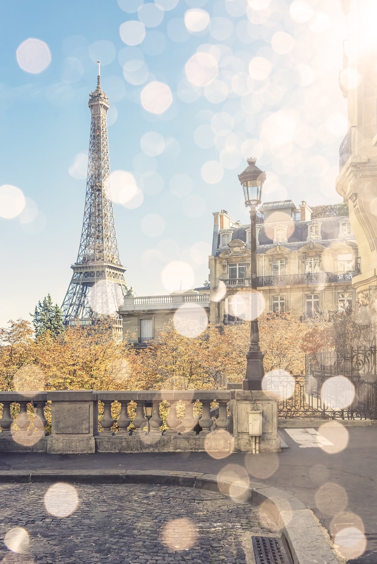 Parisian Light Wall Mural in your room
