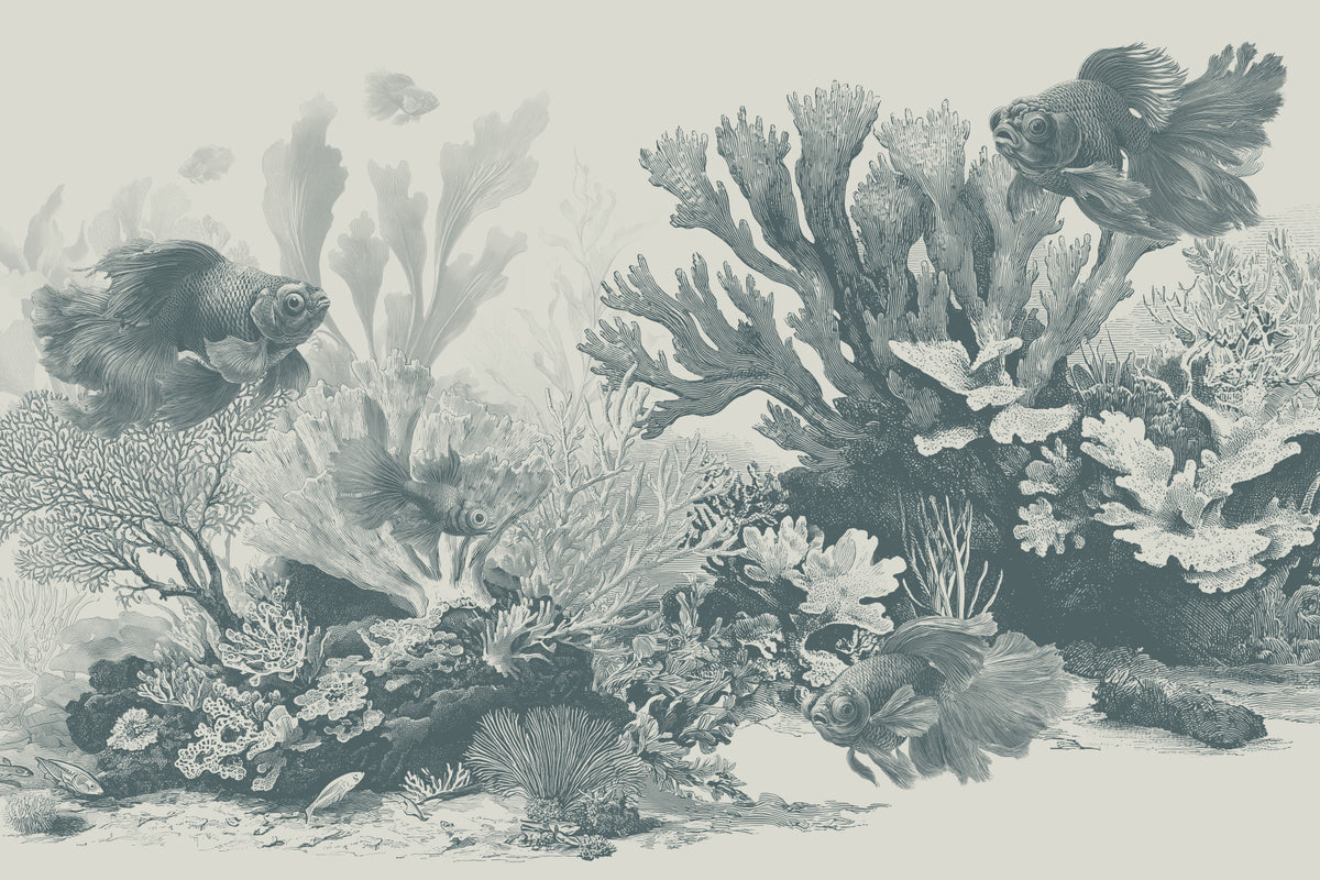 The Aquarium - Teal Wall Mural in your room — zoomed