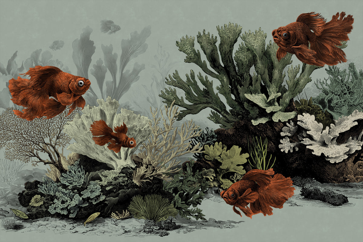 The Aquarium -  Seafoam Wall Mural in your room