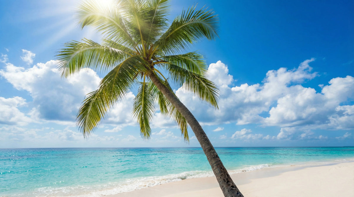 Island Dream Wall Mural in your room