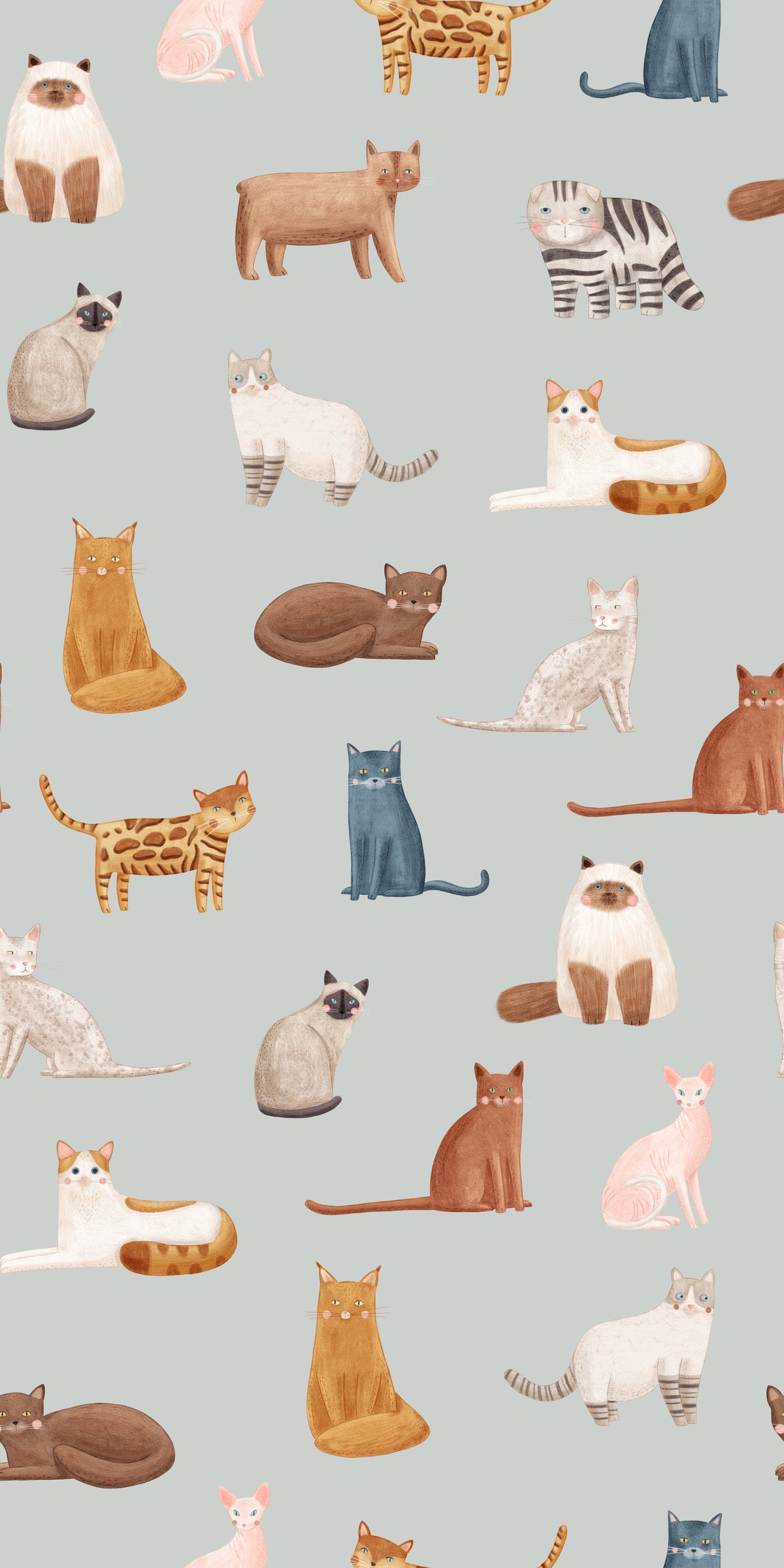 Cool Cats in blue Wallpaper⁠ in your room