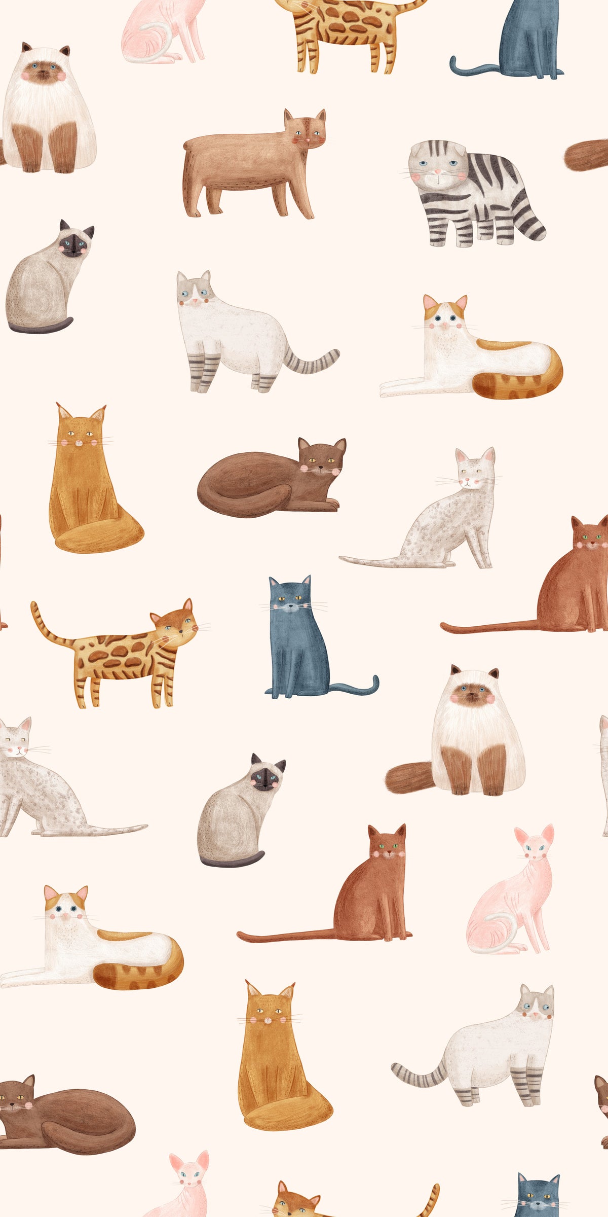 Purrfectly Cats Wallpaper⁠ in your room — zoomed