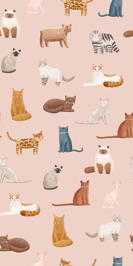 Cool Cats in Pink Wallpaper⁠