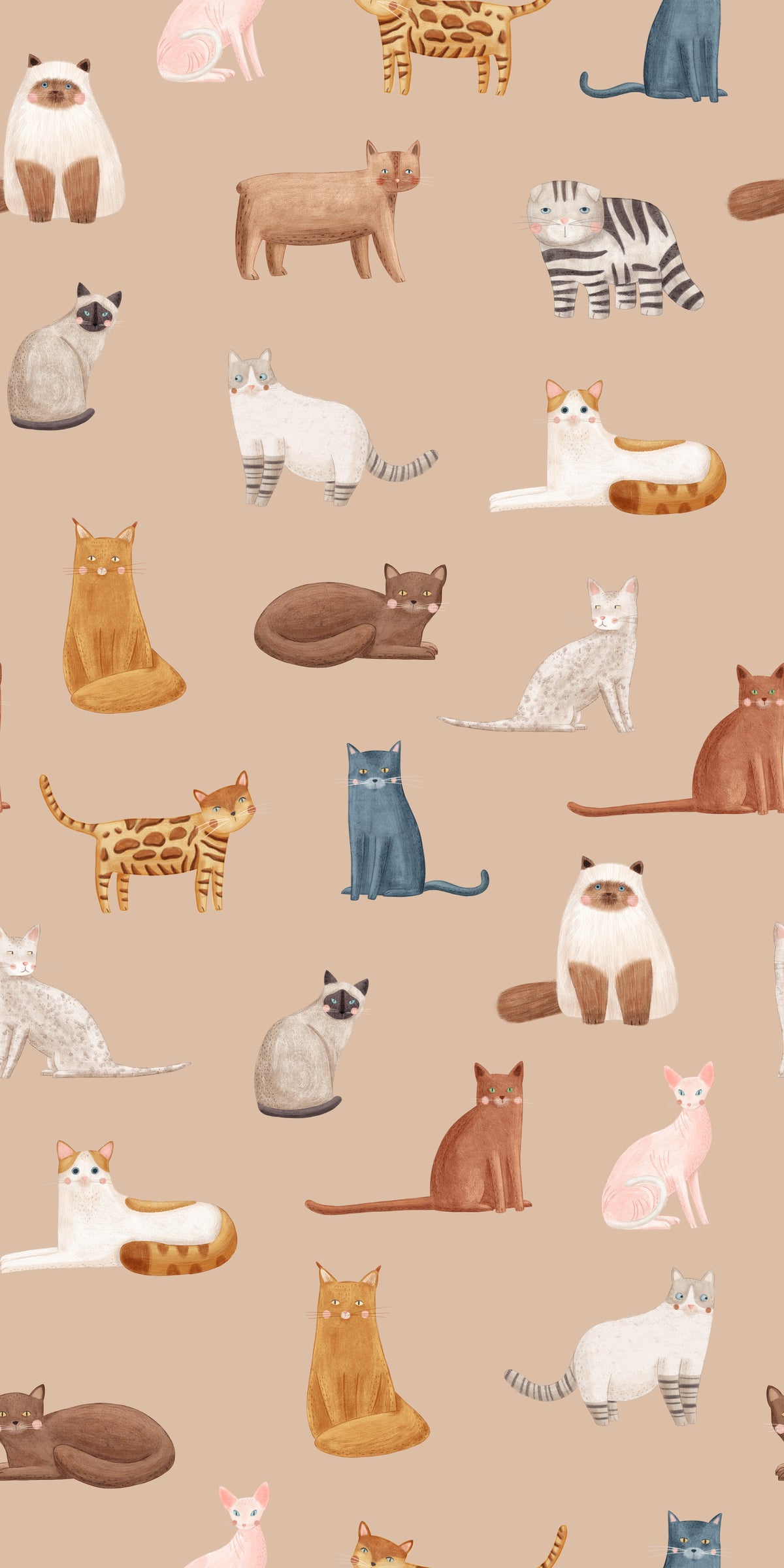 Cats Galore in toffee color Wallpaper⁠ in your room — zoomed