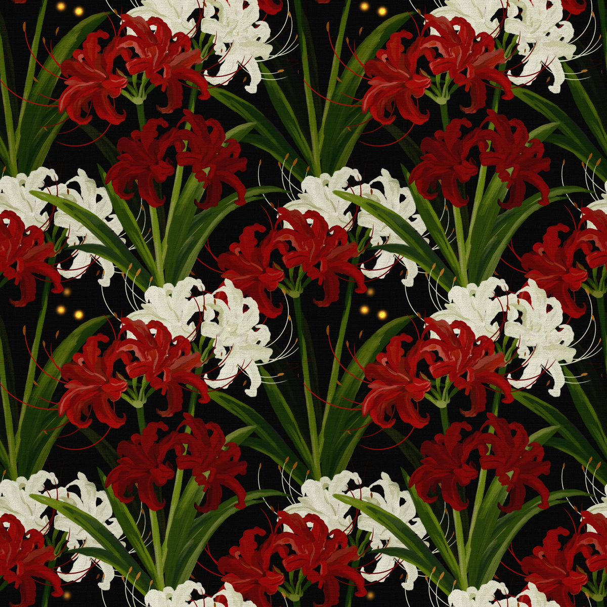 Lycoris Noir Midnight Romance white red flowers bloom Wall Mural in your room — zoomed