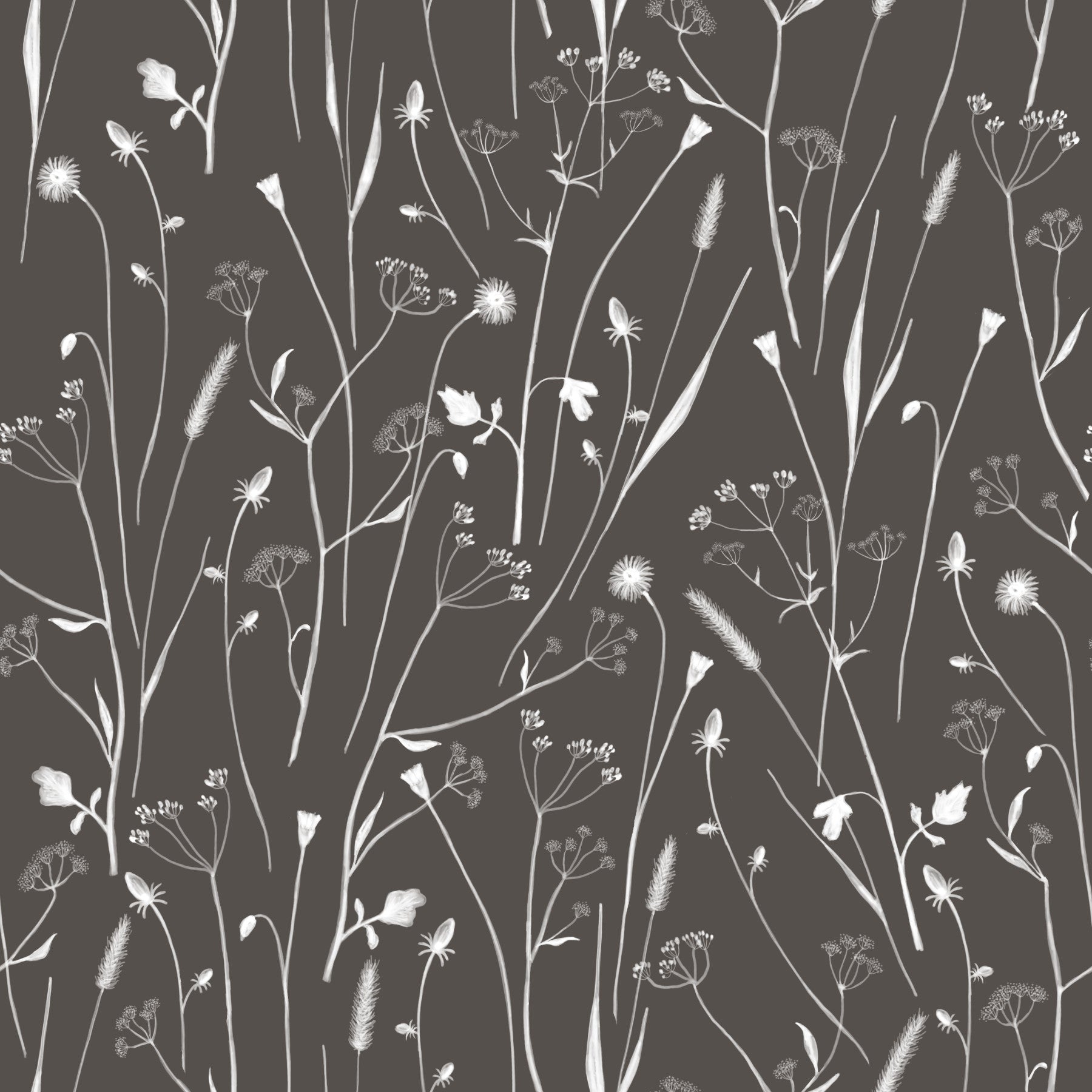 Homeland Floral Silhouette Wallpaper⁠