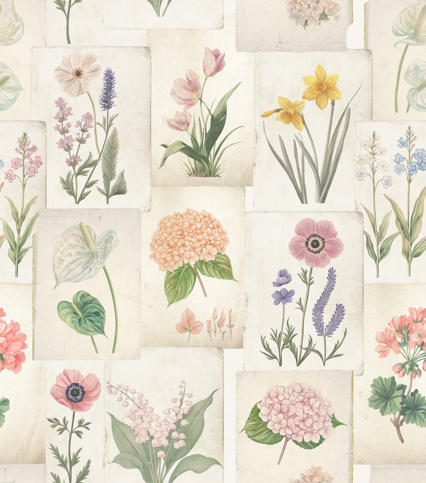 Pastel Floral Botanical Collage Wallpaper⁠