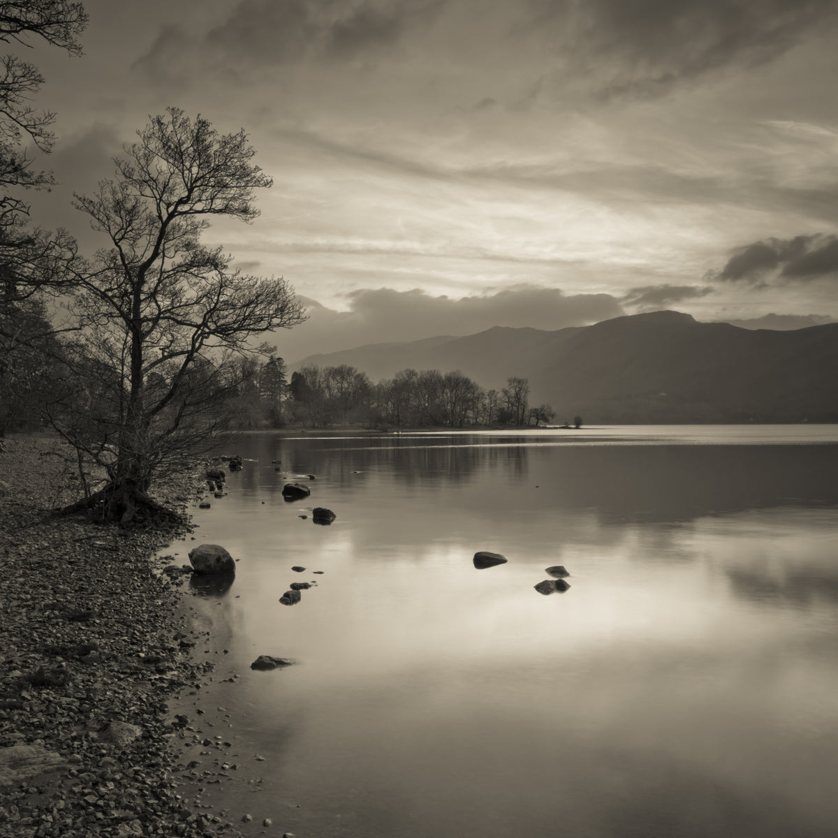 Still Lake at Dusk Wall Mural in your room