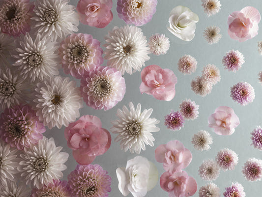 Bloom Bliss Wall Mural