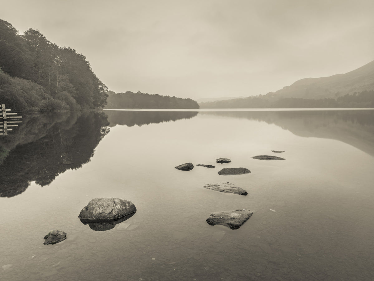 Lake Calmness Wall Mural in your room