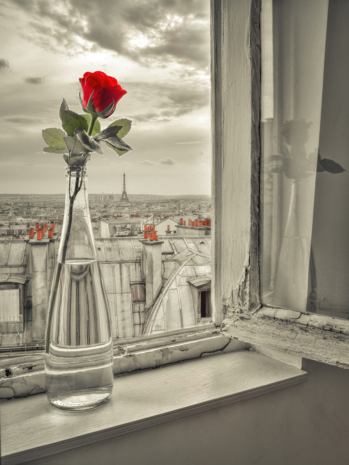 Parisian Bloom Wall Mural in your room