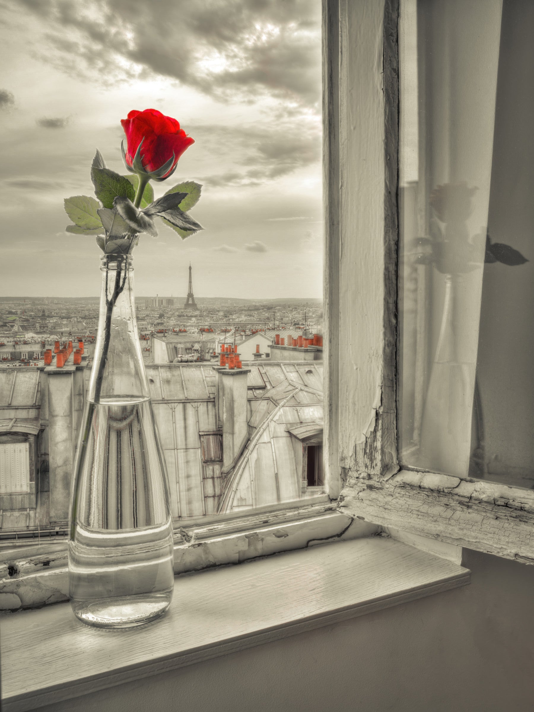 Parisian Bloom Wall Mural