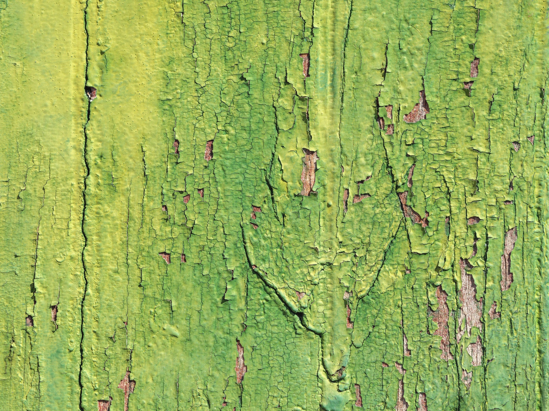 Weathered Green Wall Wall Mural
