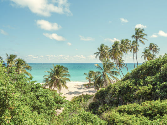 Serene Coastal Paradise Wall Mural