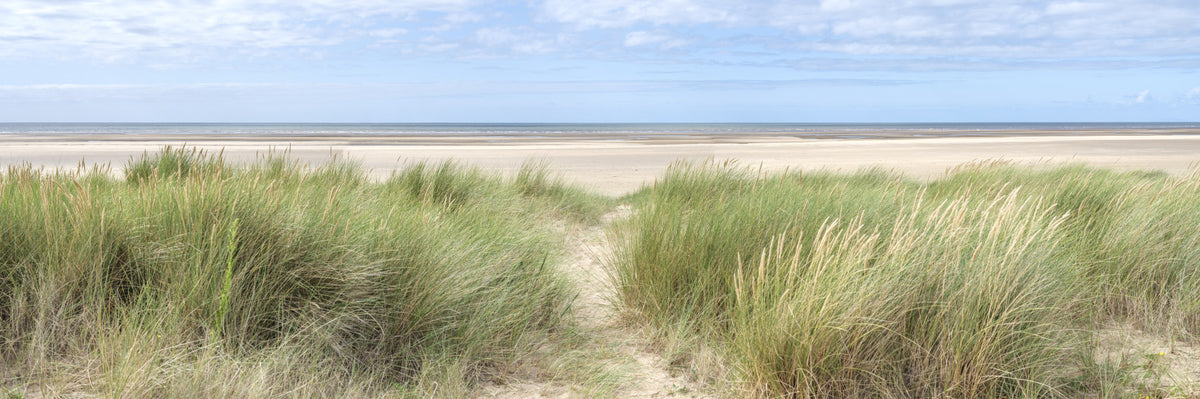 Grassland by the Sea Wall Mural in your room