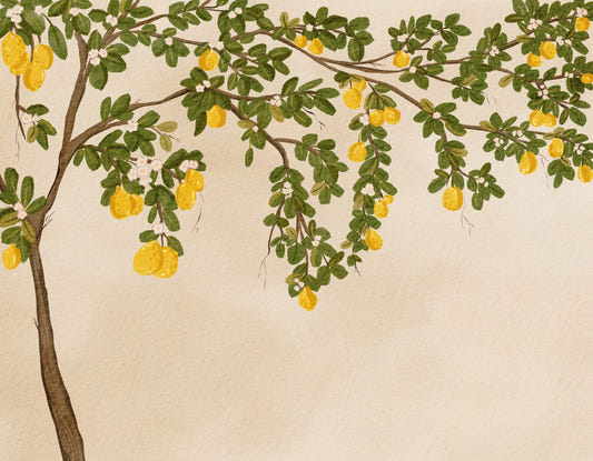 Lemon Grove Bloom Wall Mural