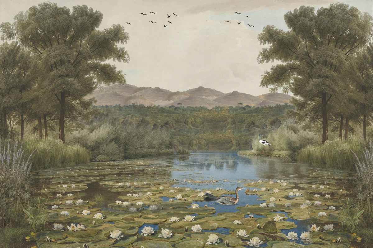 Lily Pond Serenity Wall Mural