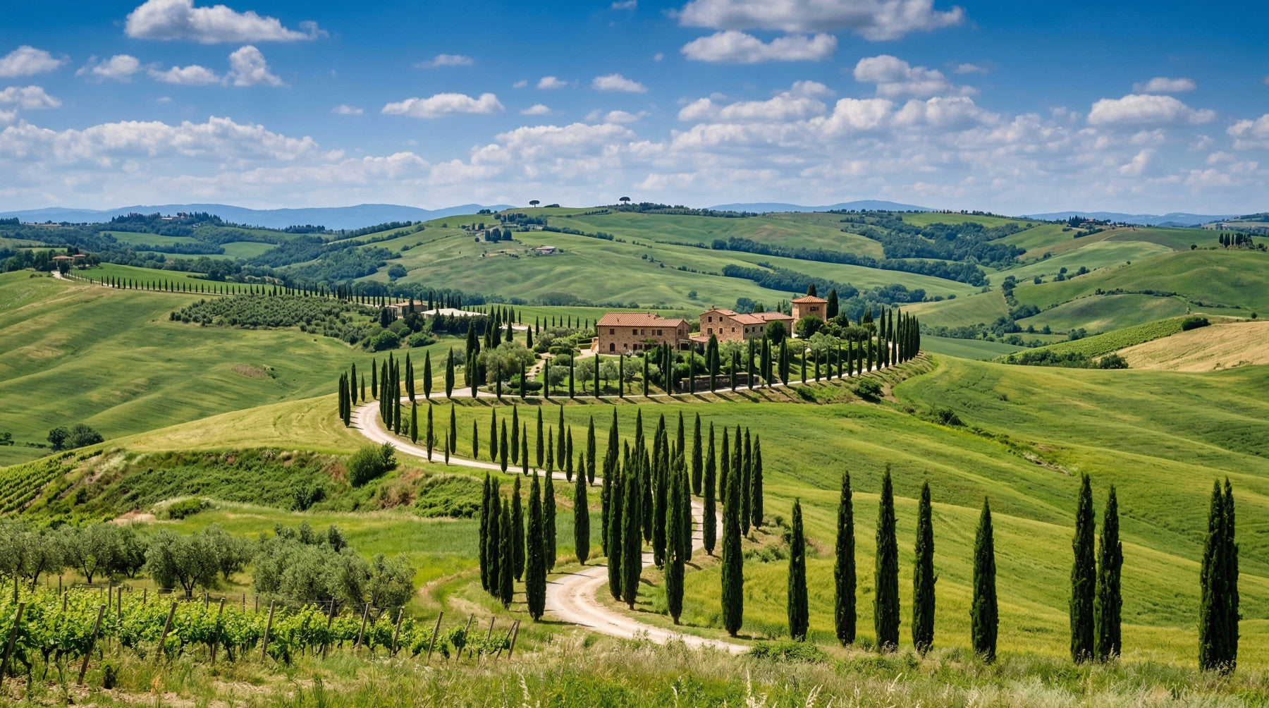 Tuscan Cypress Serenity Wall Mural