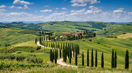 Tuscan Cypress Serenity Wall Mural