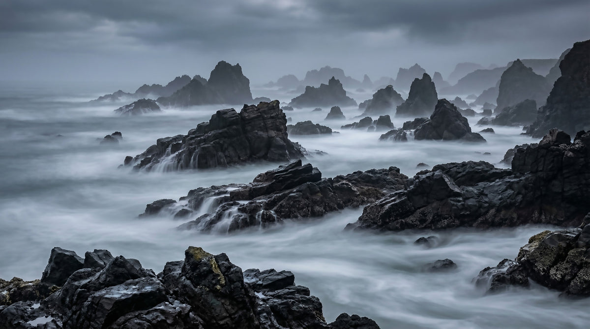 Grey Coast Mystique Wall Mural in your room