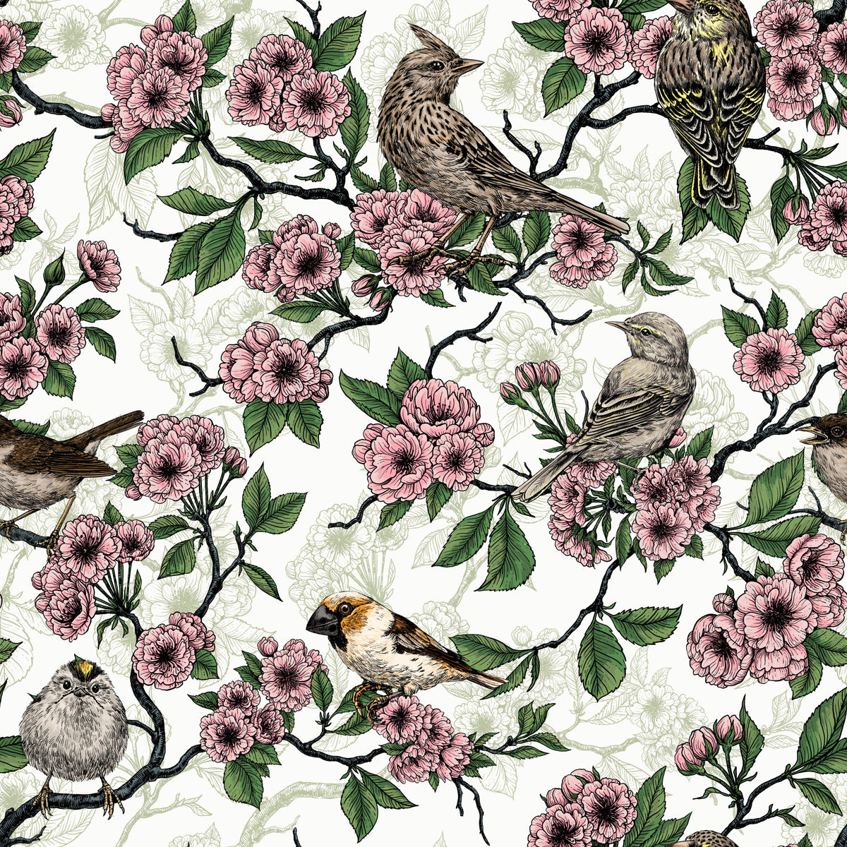 Birds and cherry blossom on white Wallpaper⁠ in your room