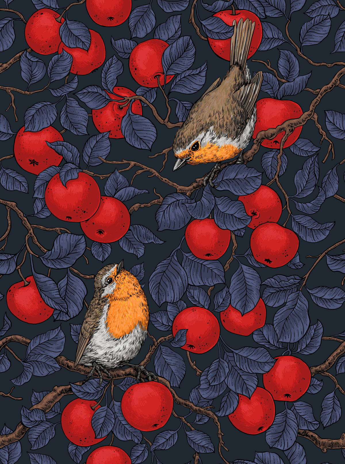 Robins in the apple tree/blue and red  Wallpaper⁠ in your room — zoomed