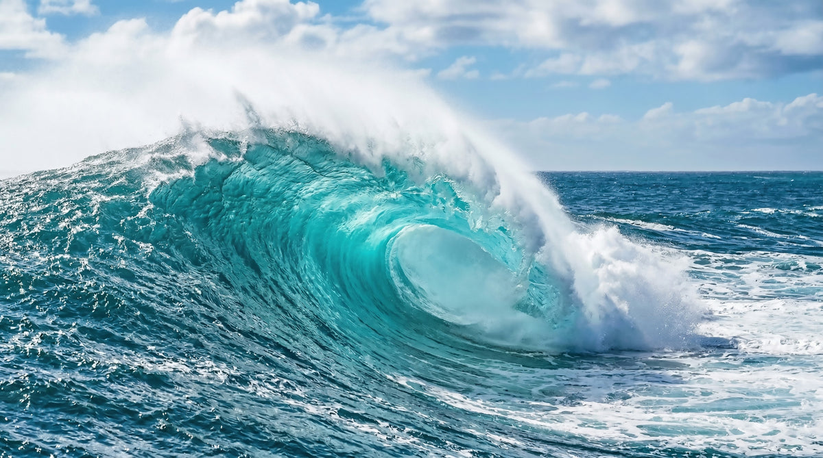 Turquoise Wave Majesty Wall Mural in your room — zoomed