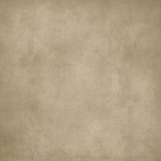 Dirty Paper - Chamois Wall Mural