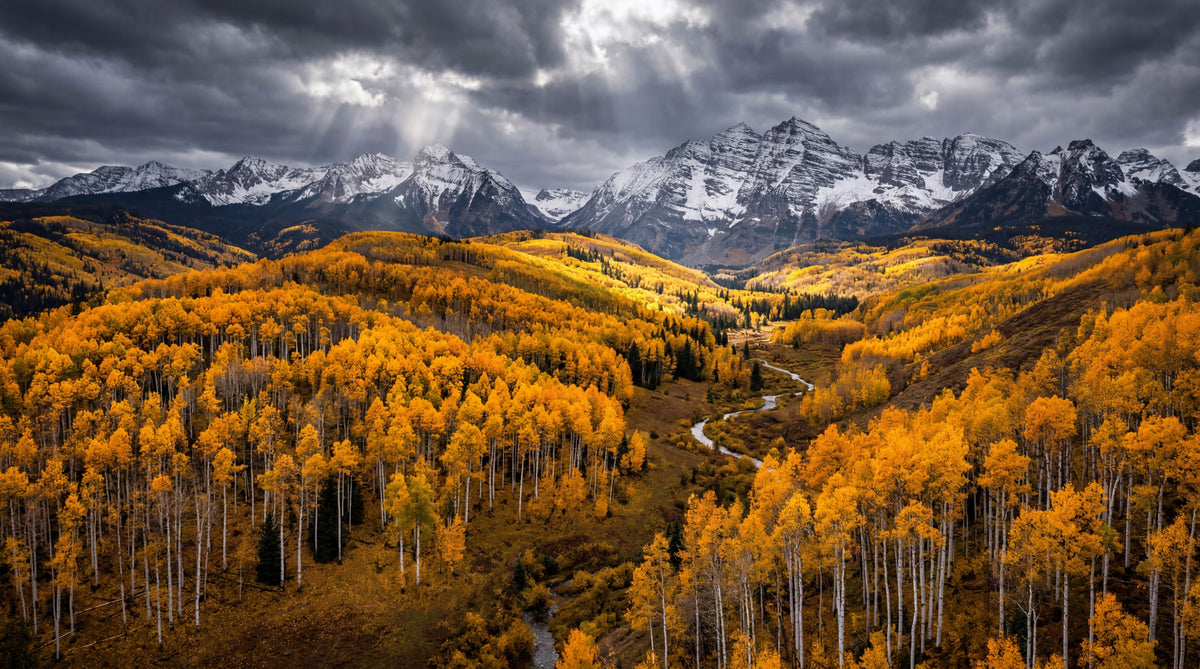 Sunlit Aspen Valley Wall Mural in your room