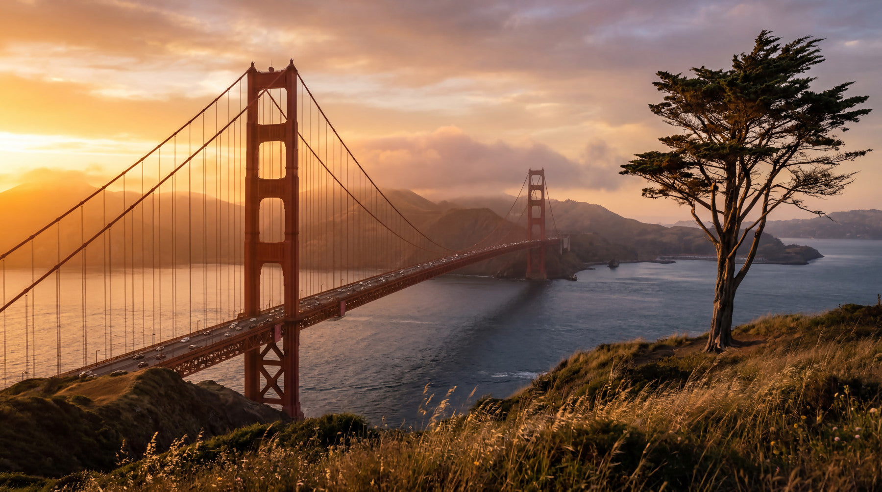 Deep Golden sky and bridge glow wall mural complementing a calm Guest room setting