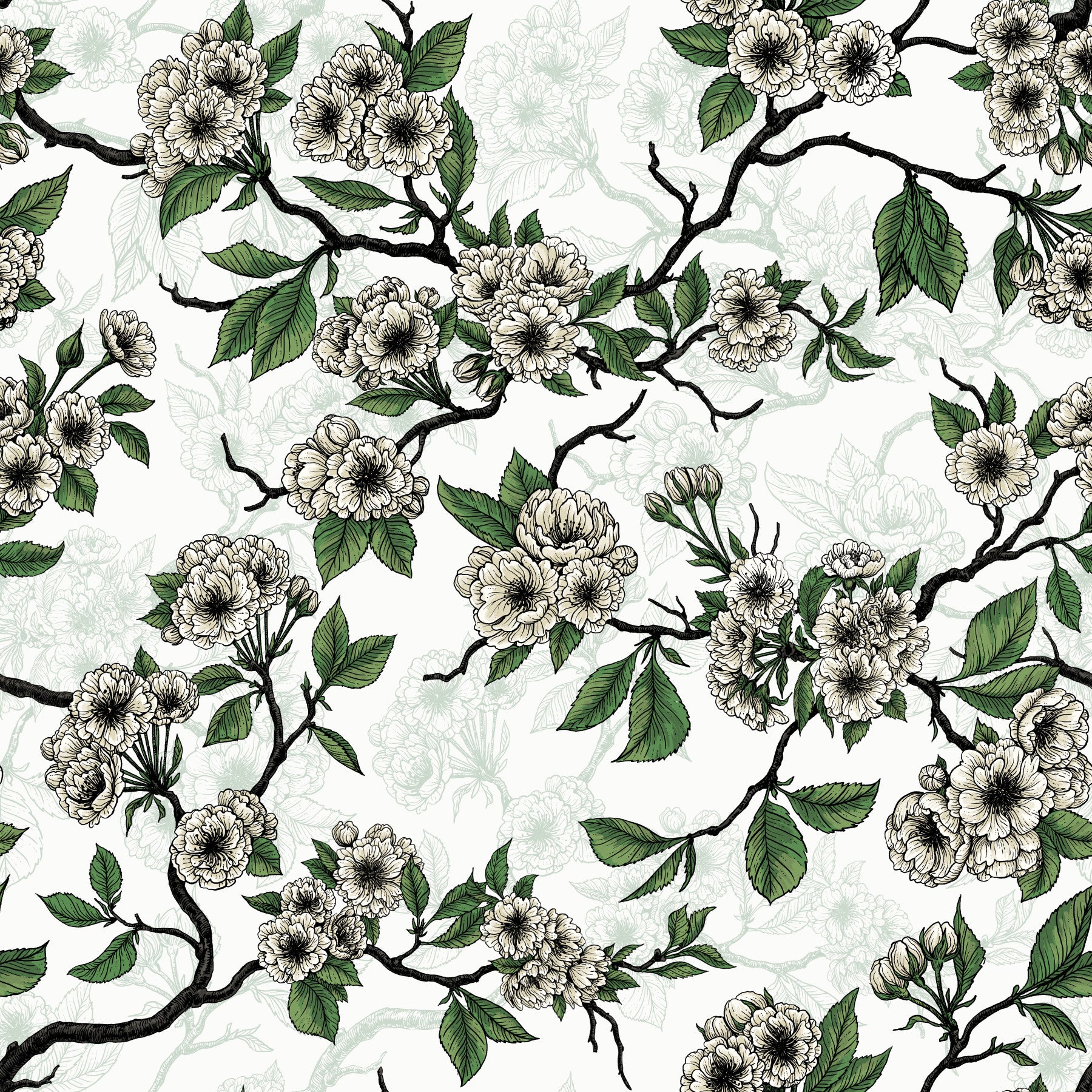 Cherry blossom on white Wallpaper⁠