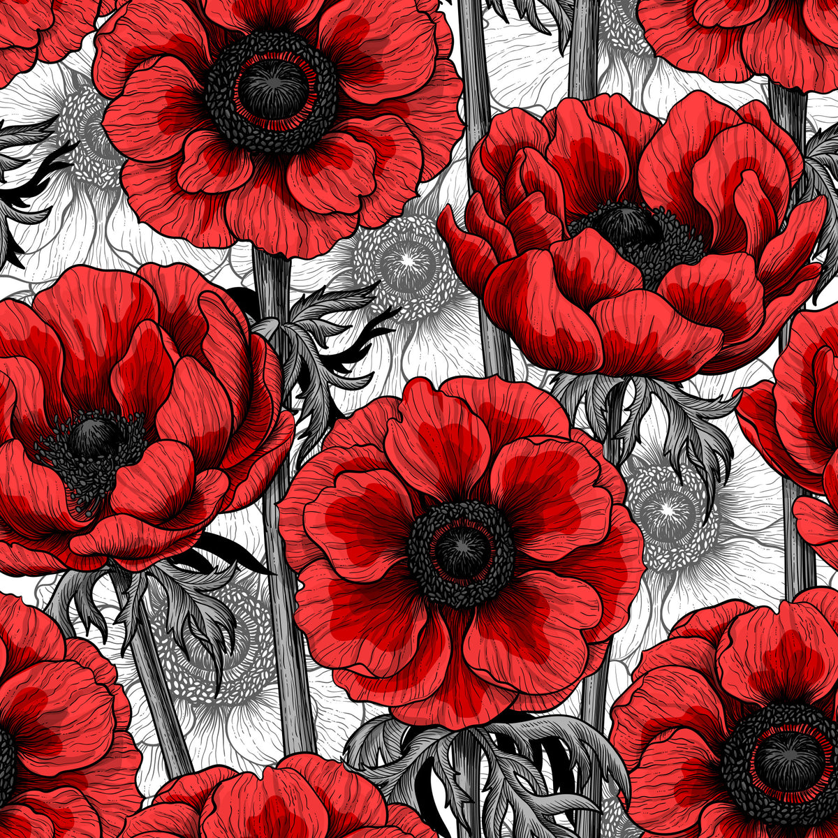 Red anemone garden on white Wallpaper⁠ in your room