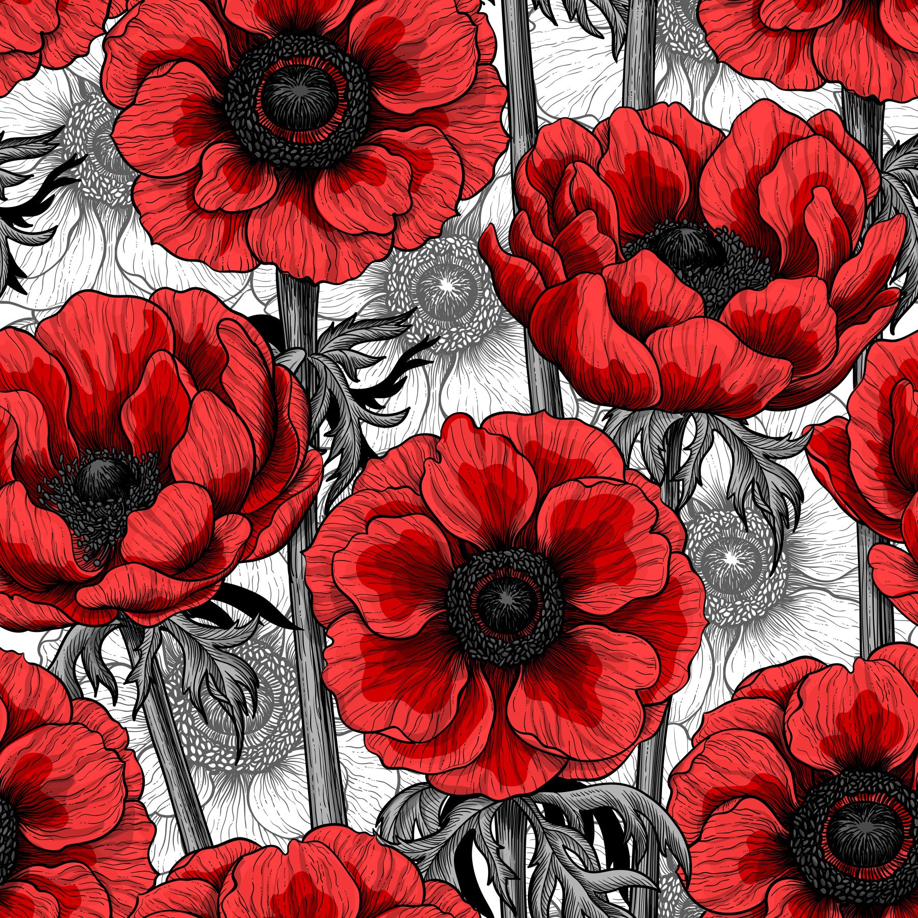Red anemone garden on white Wallpaper⁠