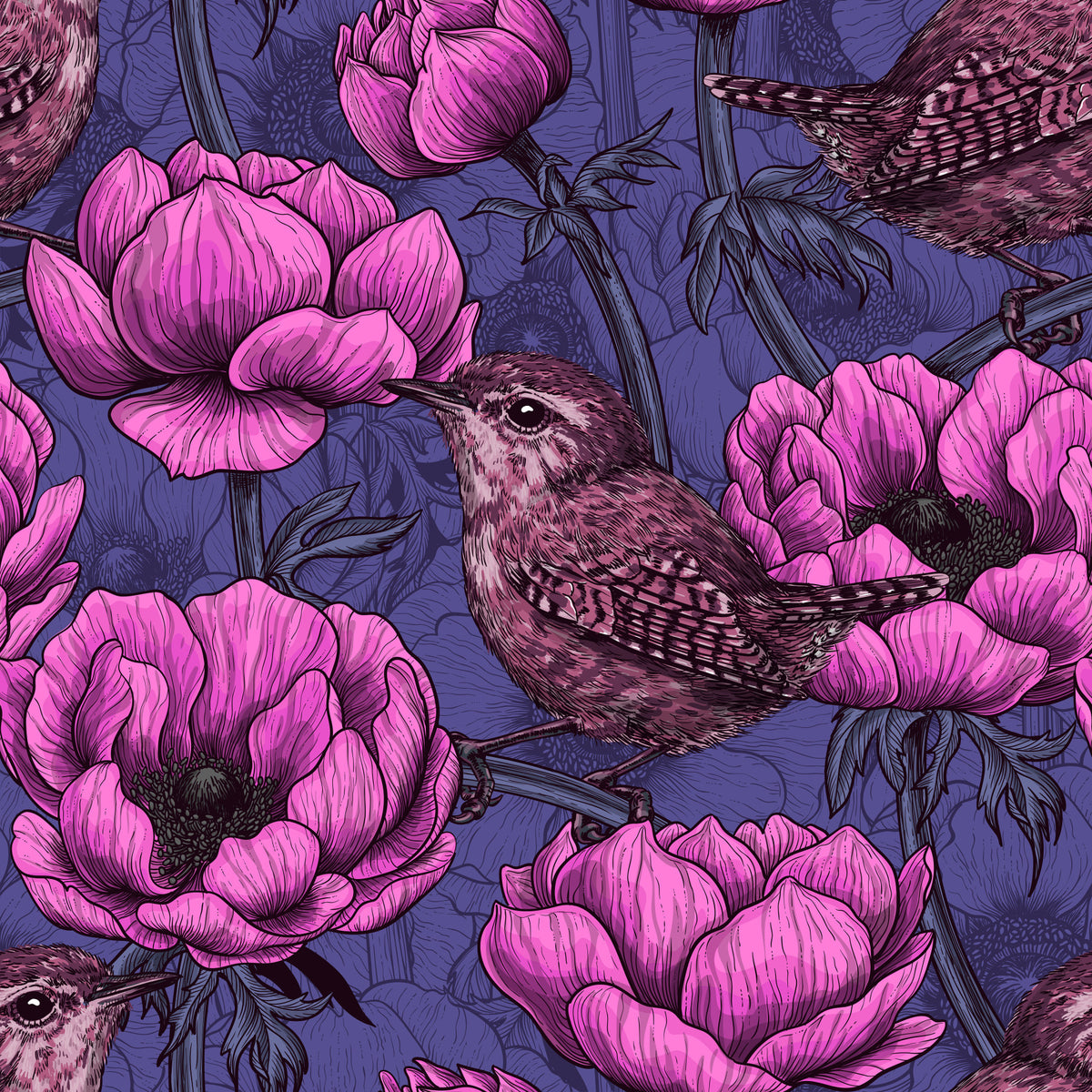 Wrens in the anemone garden Wallpaper⁠ in your room — zoomed