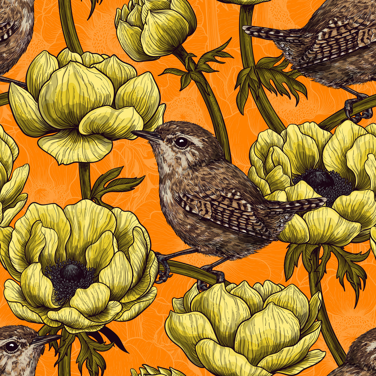 Wrens in the yellow anemone garden Wallpaper⁠ in your room