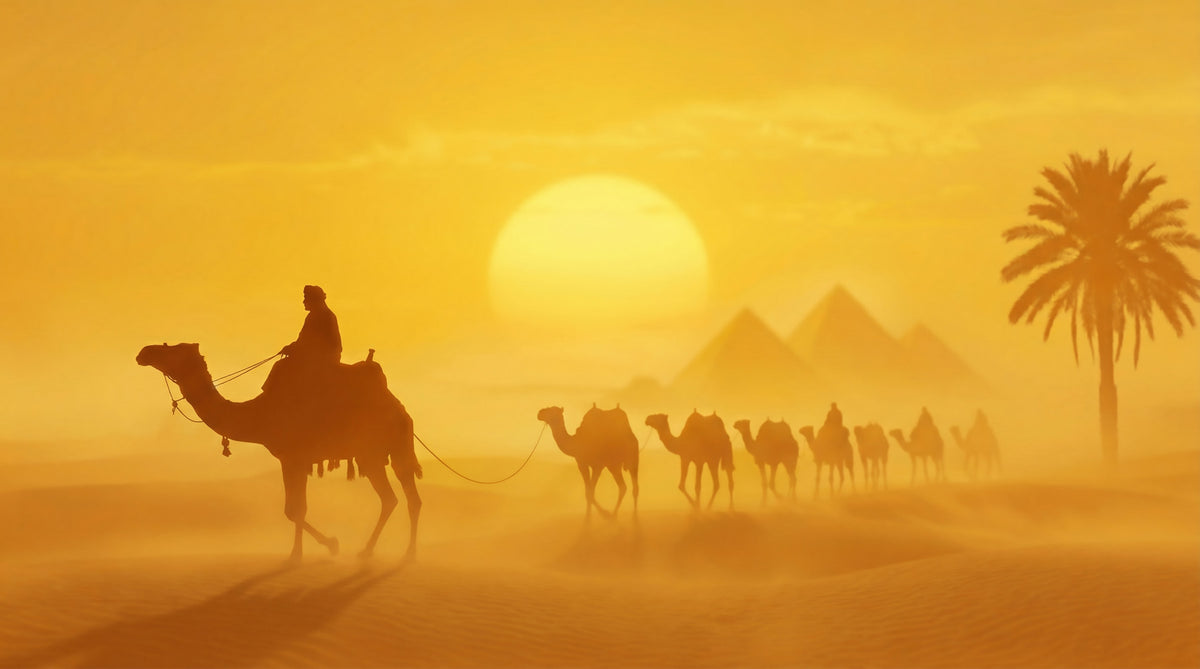 Sands of Time: Golden Desert Caravan Wall Mural in your room