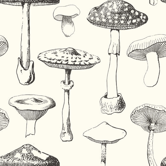 Forest Mushroom Sketch Wallpaper