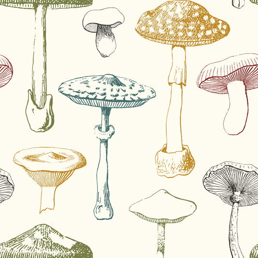 Collection of antique mushrooms Wallpaper