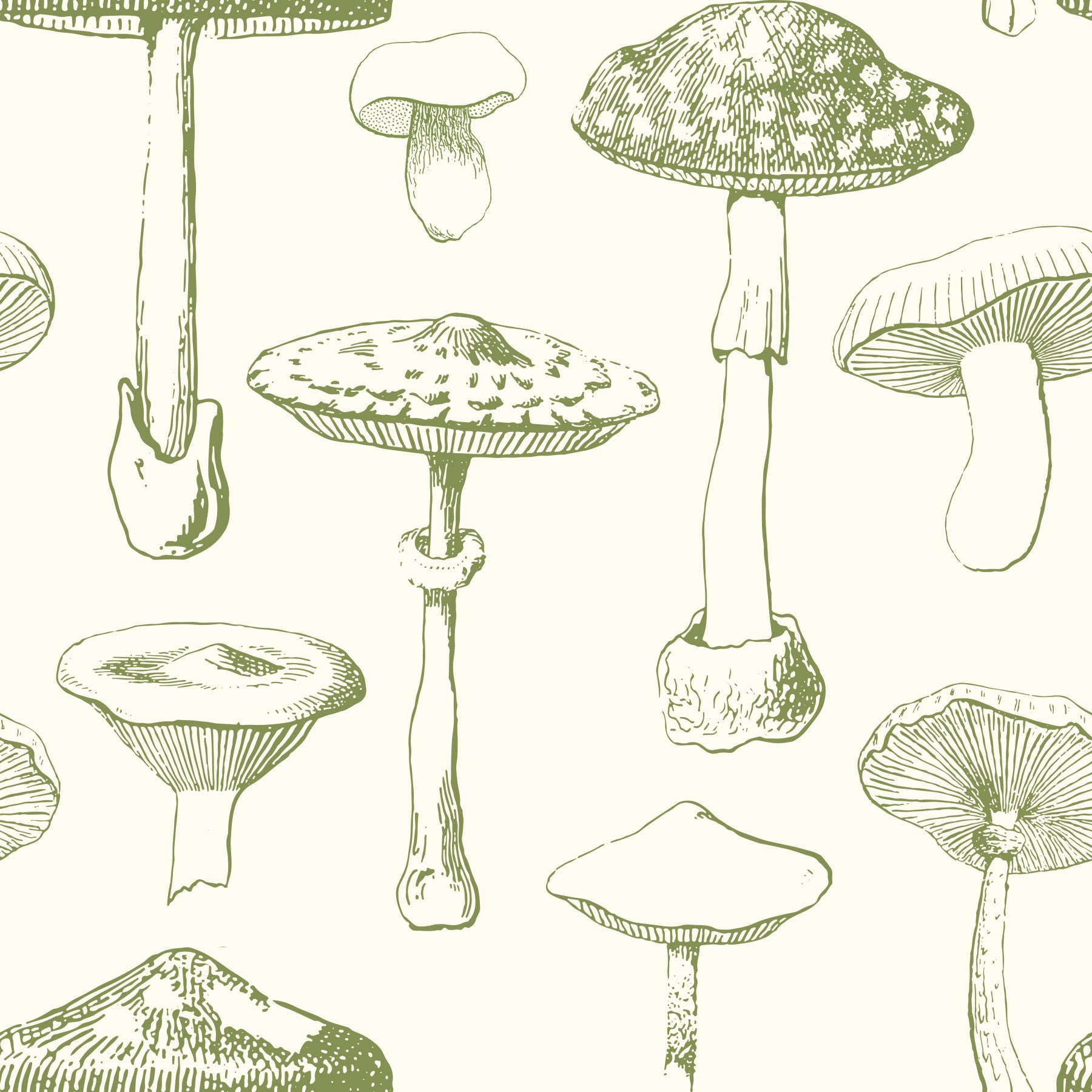 Ancient Forest Mushrooms Wallpaper