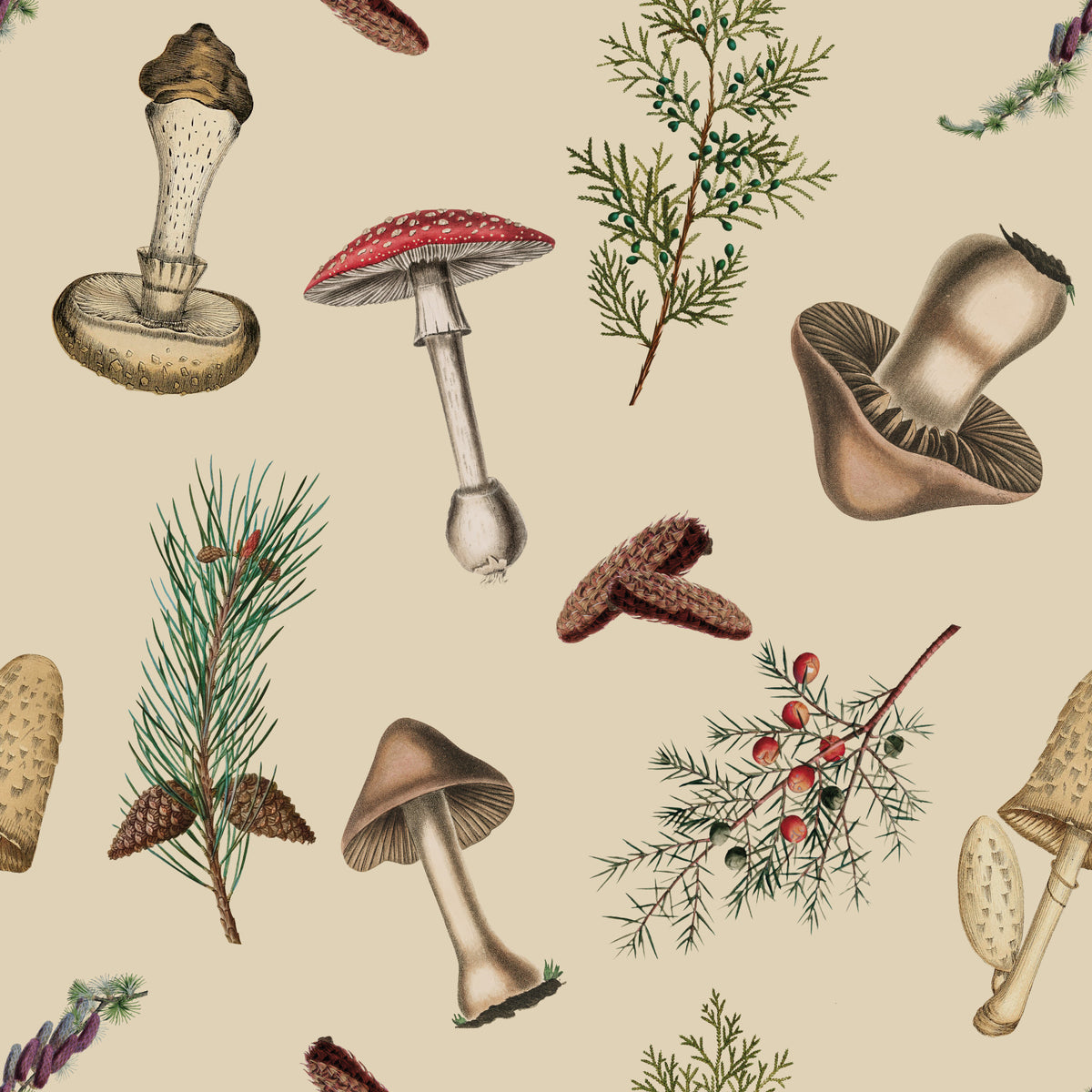 Rustic Forest Fodder Wallpaper in your room — zoomed