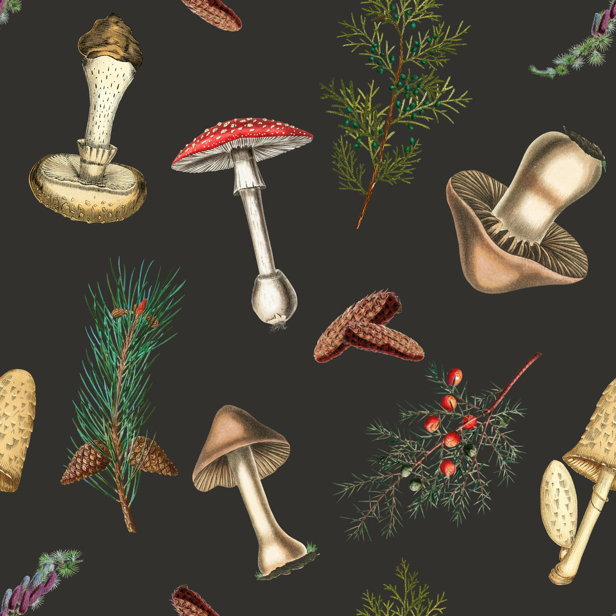 Vintage pattern of mushrooms and forest fir trees Wallpaper in your room
