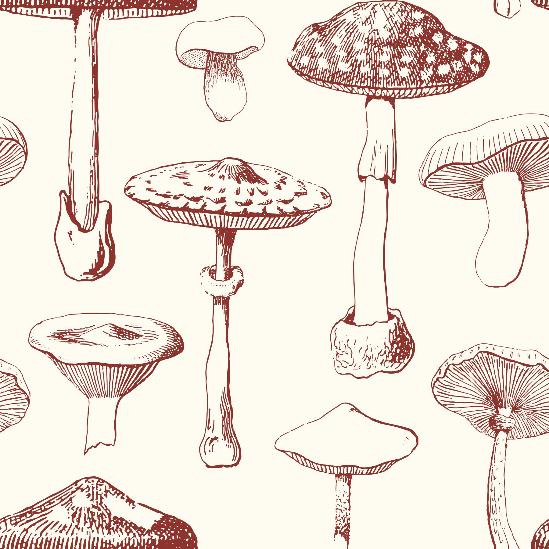 Living room Vintage Mushroom Grove wallpaper with hand-drawn woodland fungi