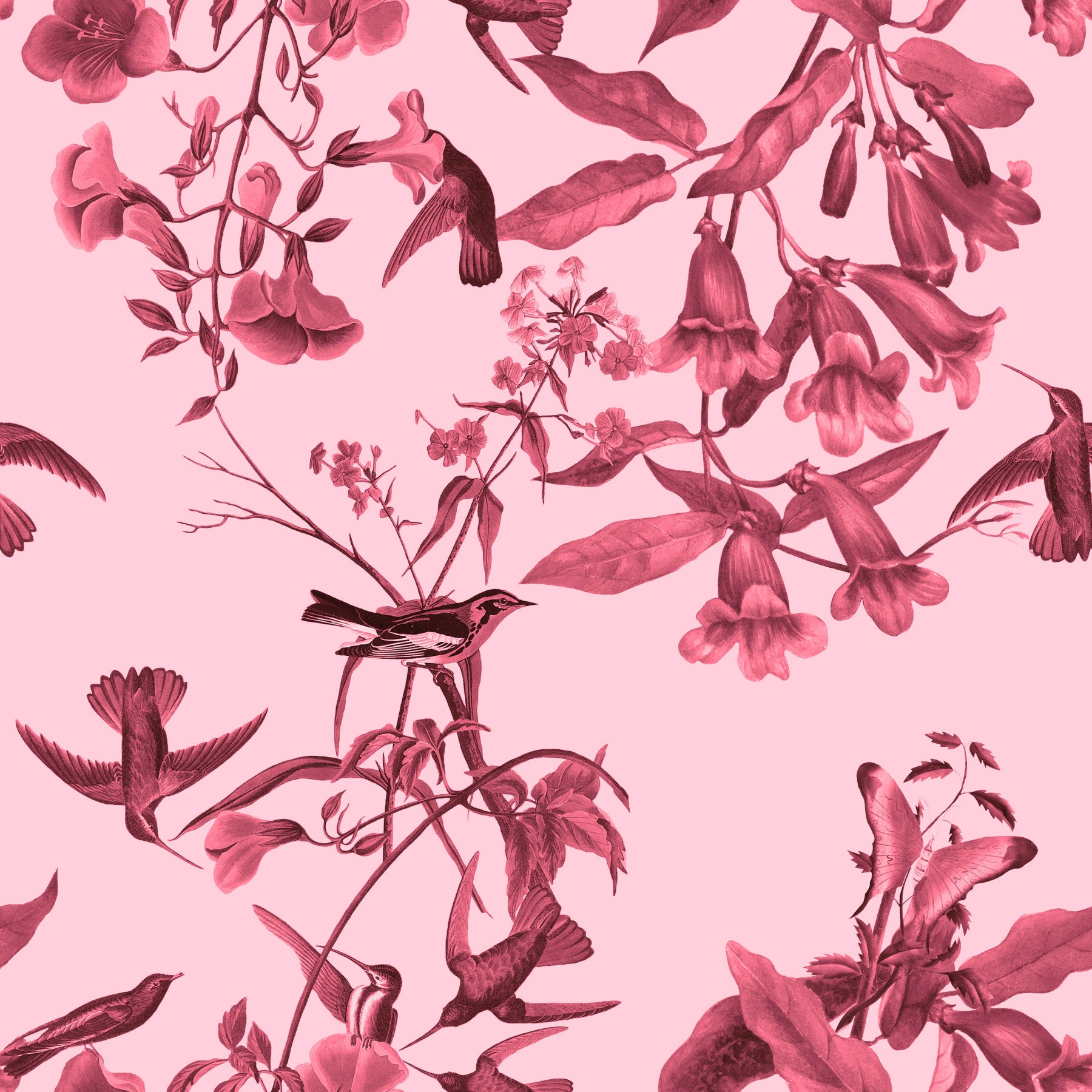 Magenta Botanical Flight Wallpaper in your room — zoomed