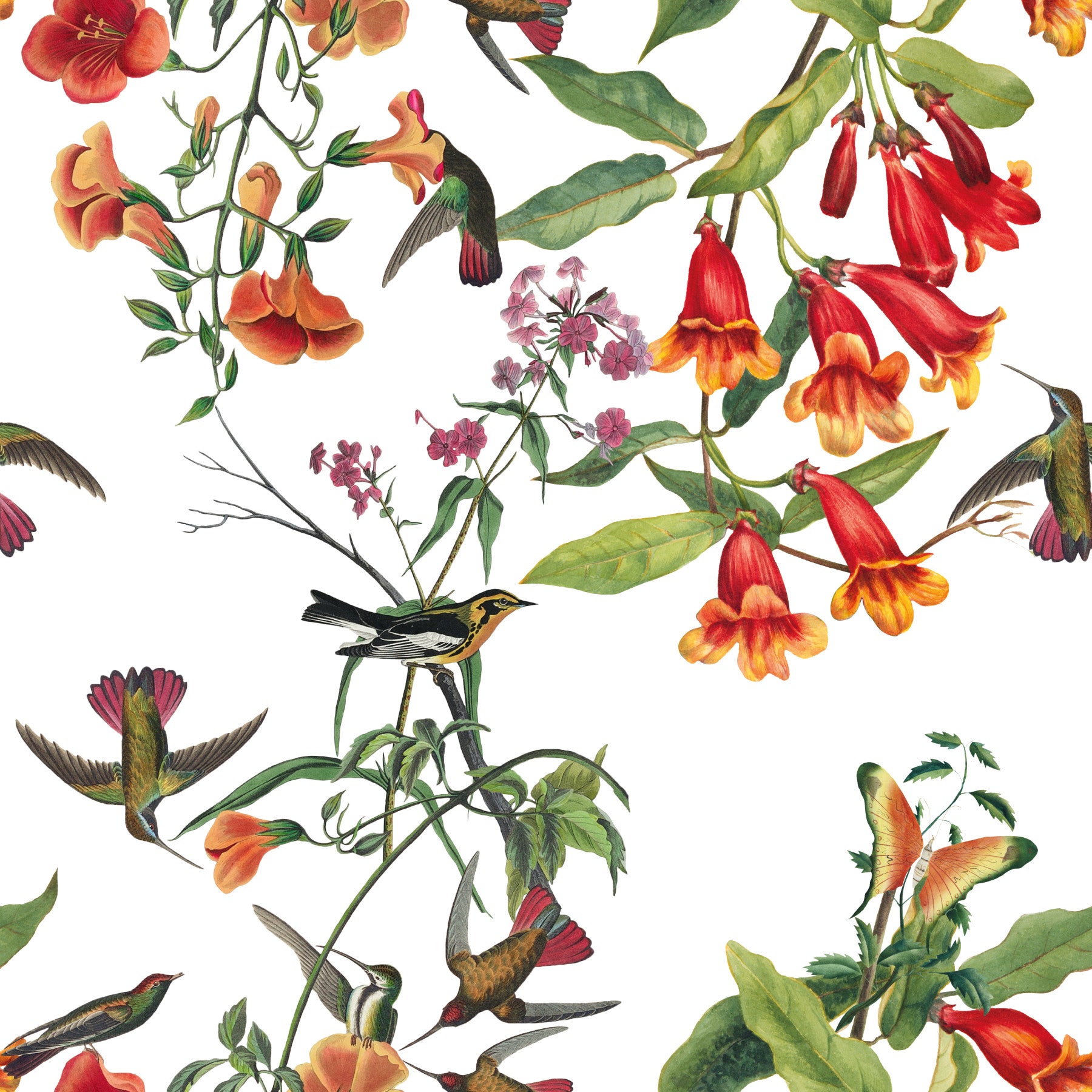 Hallway Exotic Garden Birds wallpaper with tropical flowers and hummingbirds