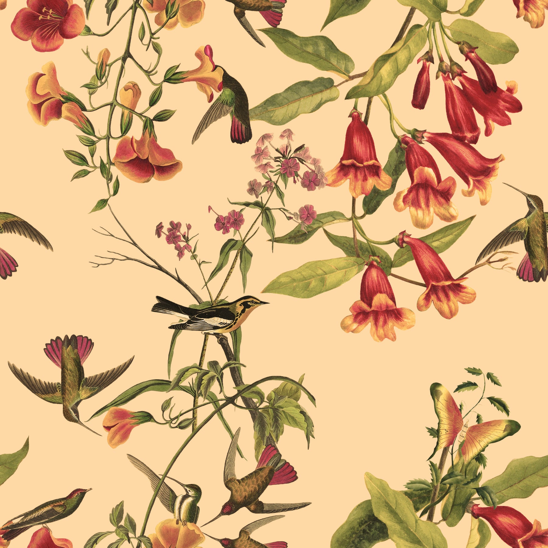Tropical Flowers and Hummingbirds Vintage Style Wallpaper