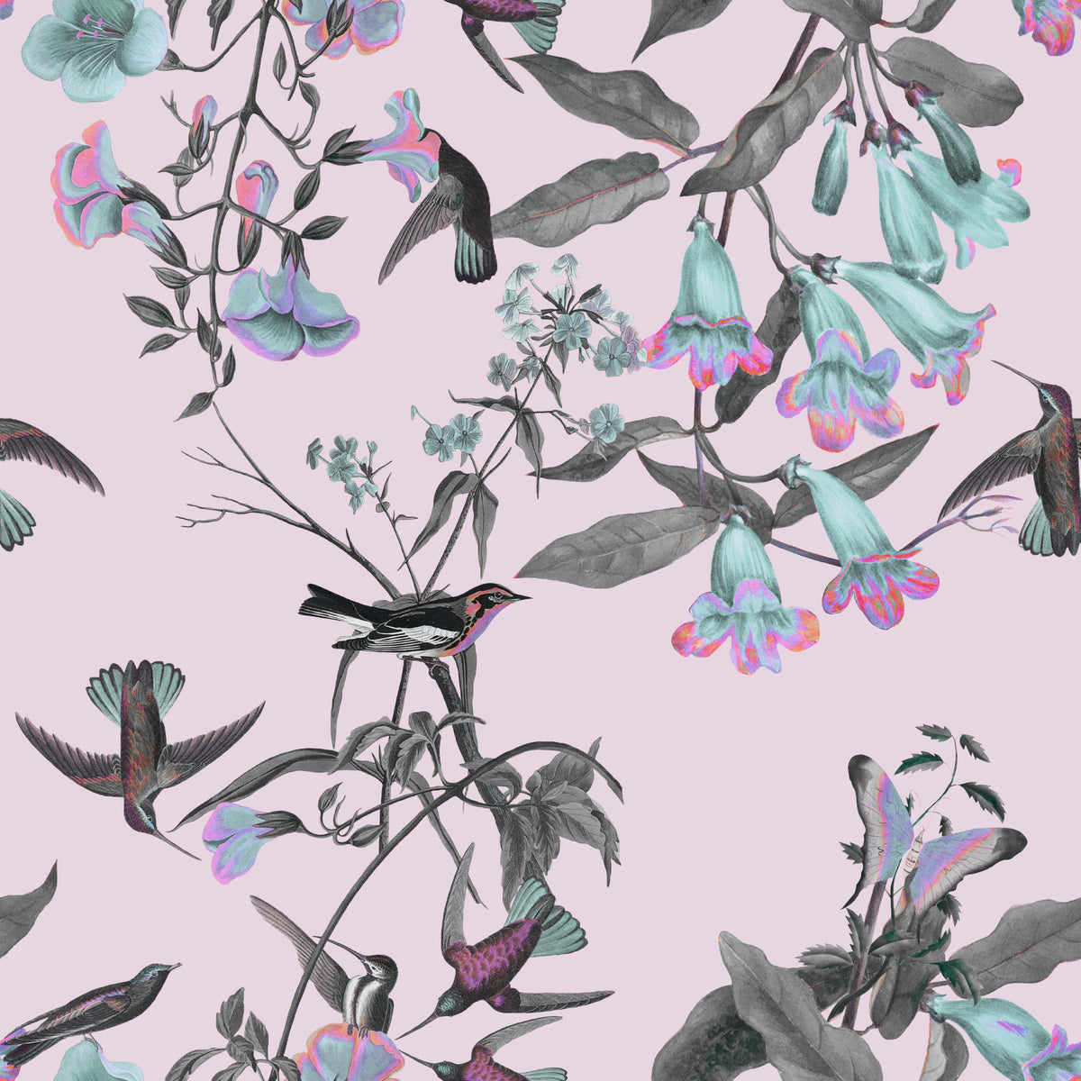 Aviario de colores pastel encantados Wallpaper⁠