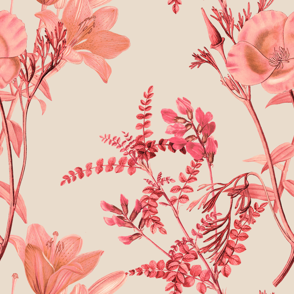Botánica Coral Bloom Wallpaper⁠ in your room — zoomed