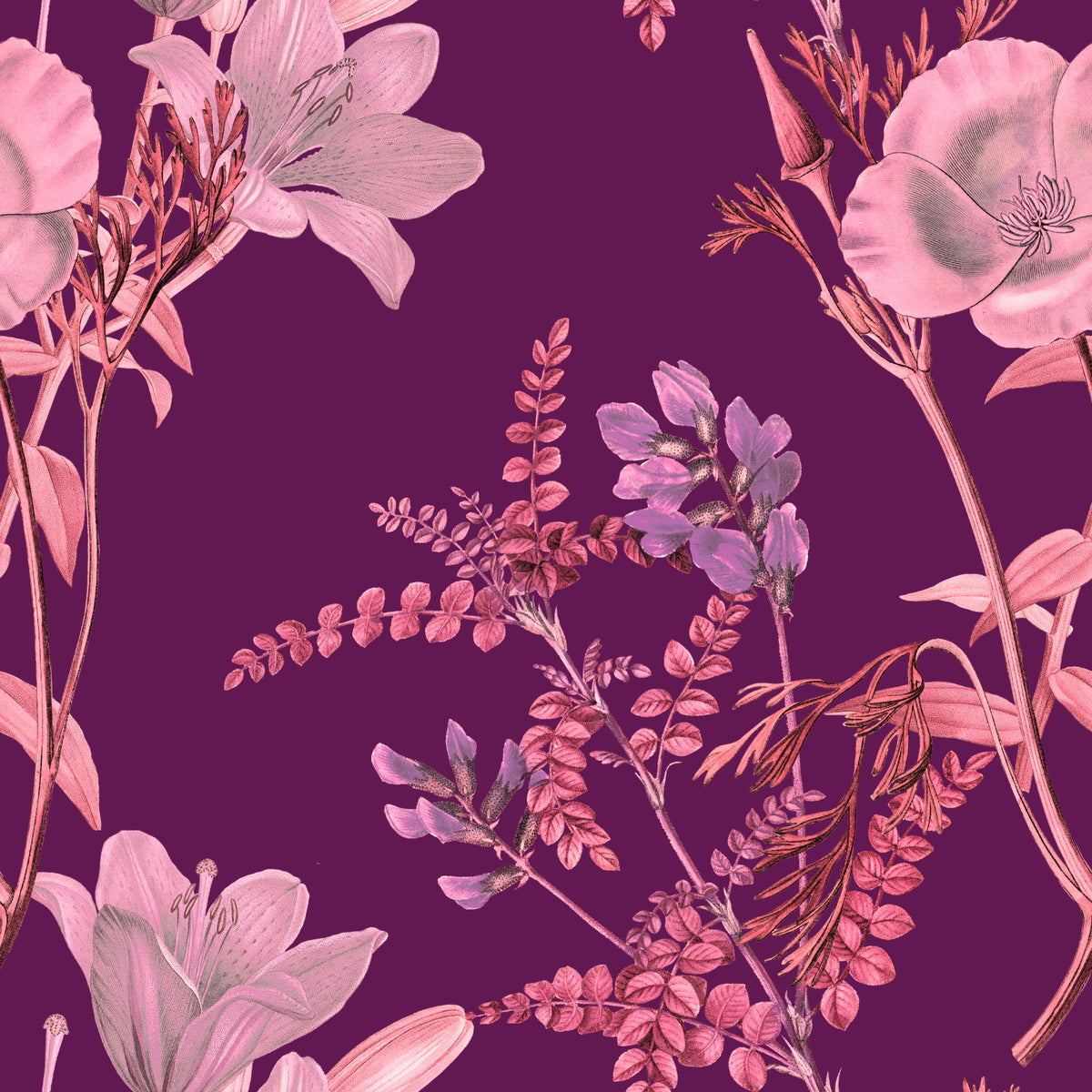 Ciruela botánica opulenta Wallpaper⁠ in your room
