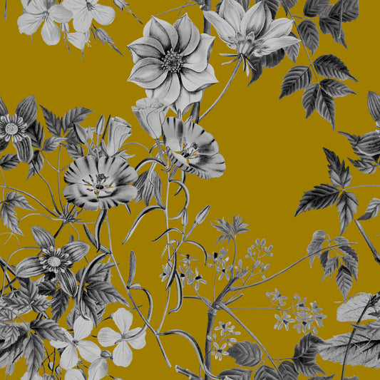 Boceto botánico de Flor de Ocre Wallpaper⁠